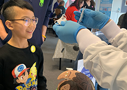 Capsule sponge activity at the Cambridge Festival