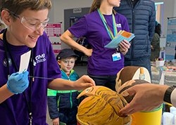 Capsule sponge activity at the Cambridge Festival