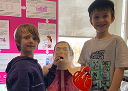 Capsule sponge activity at the Cambridge Festival