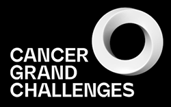 Cancer Grand Challenges