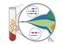 Frankell lab graphic