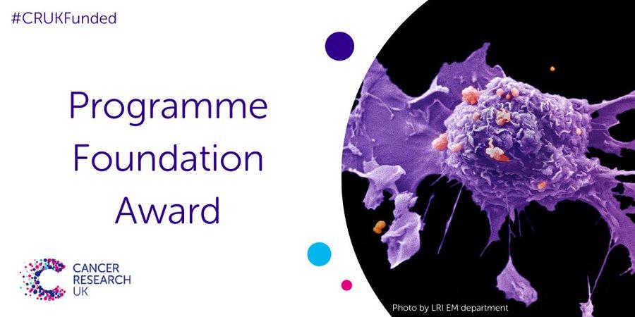 CRUK Programme Foundation Award
